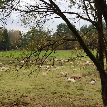 Am Sternberg 236 Frankenau