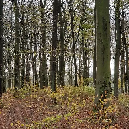 Am Sternberg 236 Apartament *