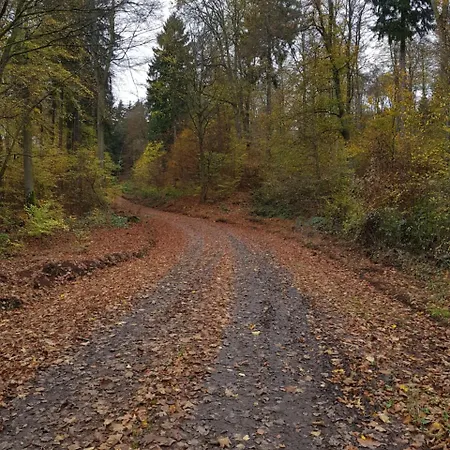 Apartament Am Sternberg 236